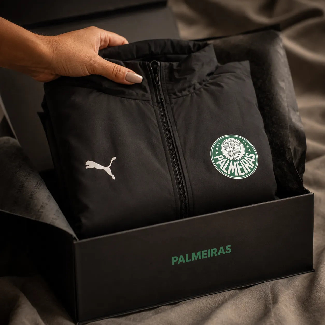 Jaqueta Corta Vento Palmeiras - Edição Limitada